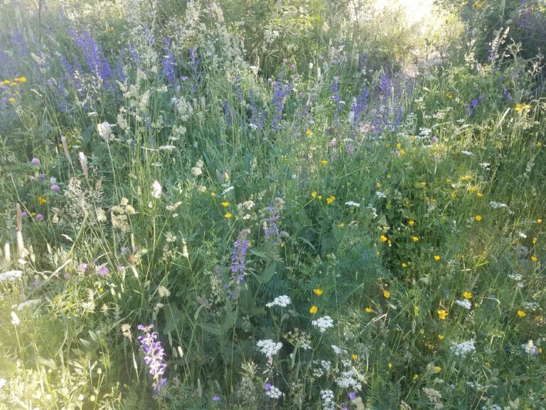 Home 20190628 085104