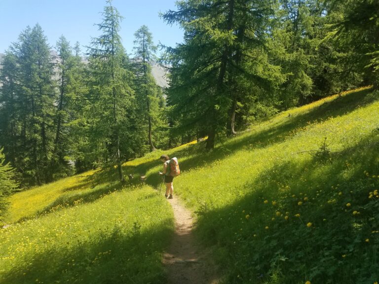 Home 20190628 114909