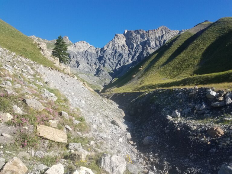 Home 20190701 080234